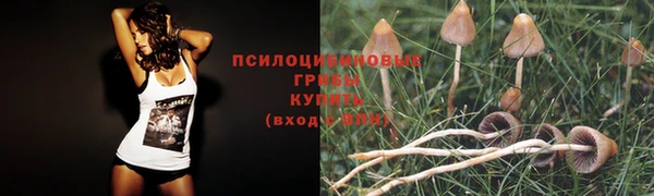 каннабис Армянск