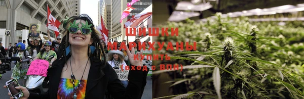 Альфа ПВП Аркадак
